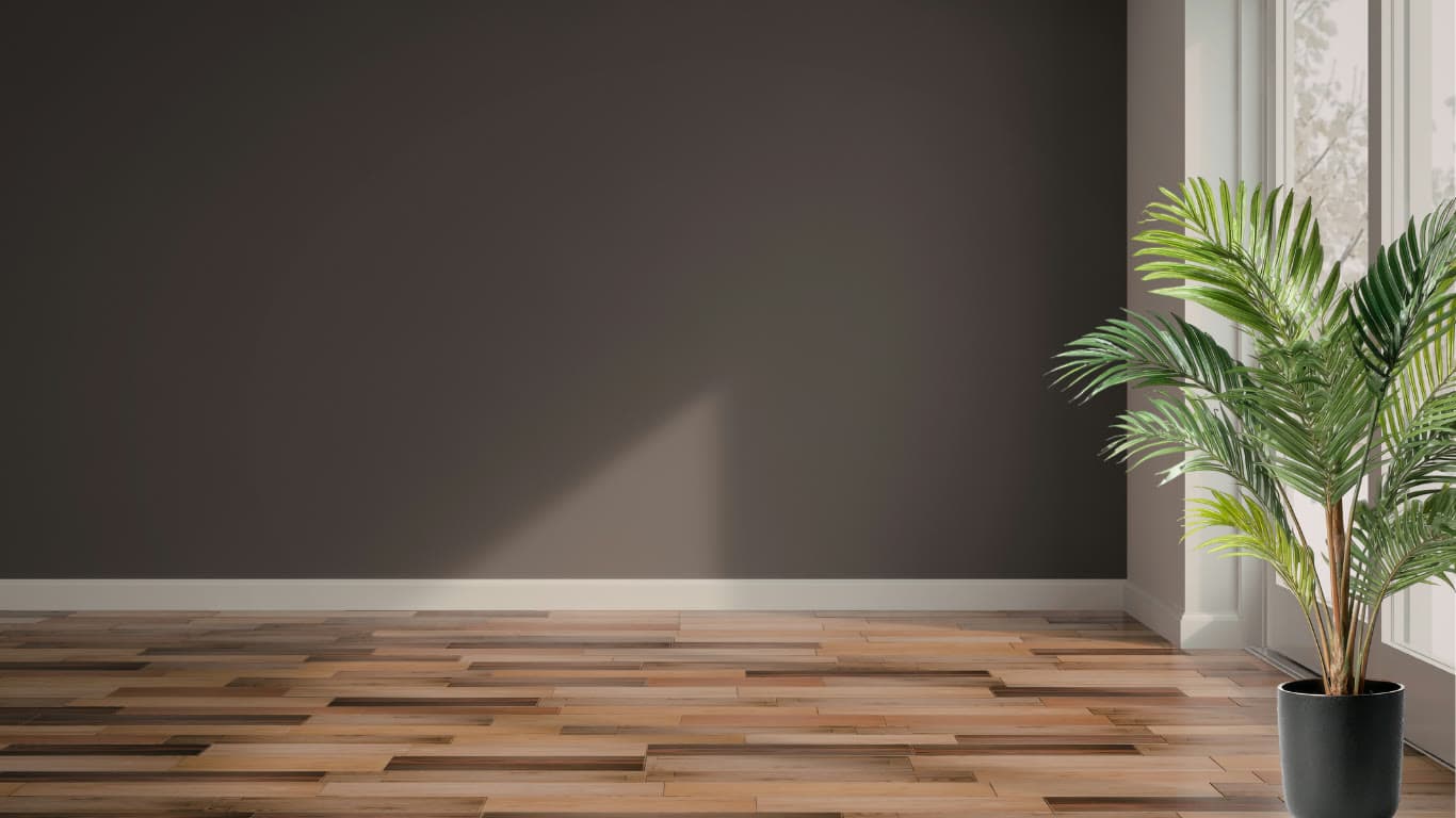 A quiet room with a dark wall, wooden floor and a palm beside a bright window.